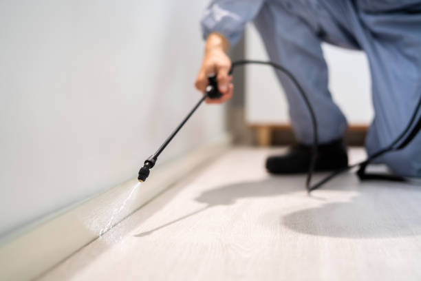 Licensed Cockroach Control service in Loudonville, OH - Nex Pest Control