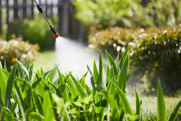 24/7 Emergency Cockroach Control experts in Loudonville, OH
