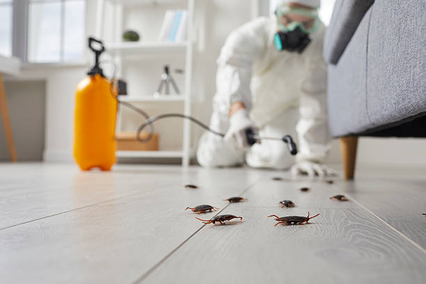 Trusted Cockroach Control service in Loudonville, OH - Nex Pest Control