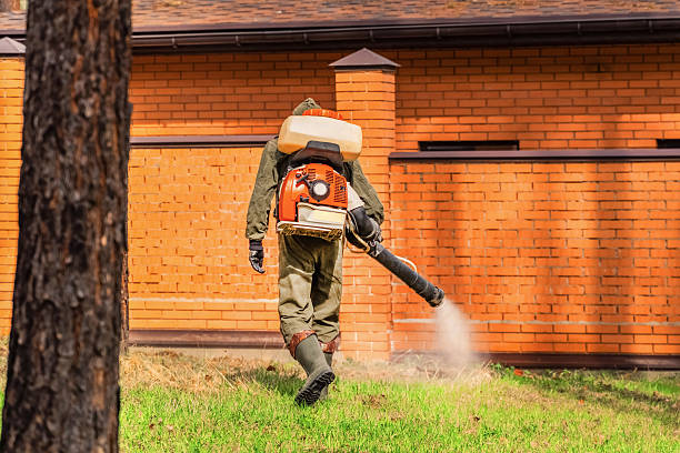 Trusted Bed Bug Control service in Loudonville, OH - Nex Pest Control